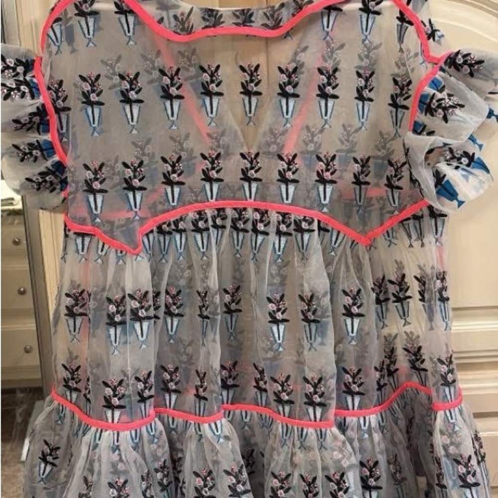 Celia B Floral Sheer Ruffle Dress